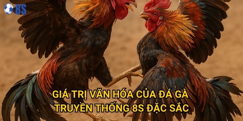 Giá trị văn hóa của Đá gà truyền thống 8s đặc sắc