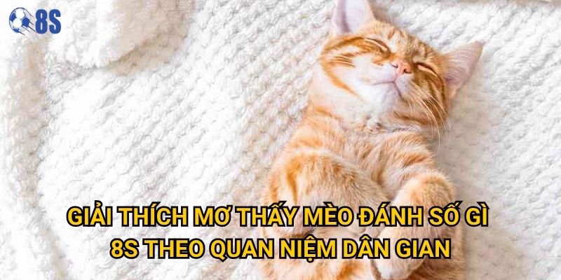 Giải thích mơ thấy mèo đánh số gì 8s theo quan niệm dân gian