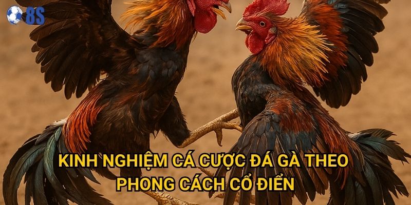 Kinh nghiệm cá cược đá gà theo phong cách cổ điển