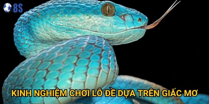 Kinh nghiệm chơi lô đề dựa trên giấc mơ